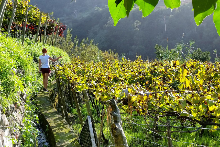 Girl in Madeira Vineyards