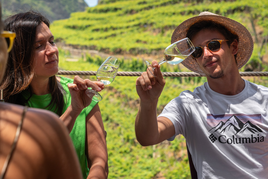 Wine Tasting at Quinta do Barbusano