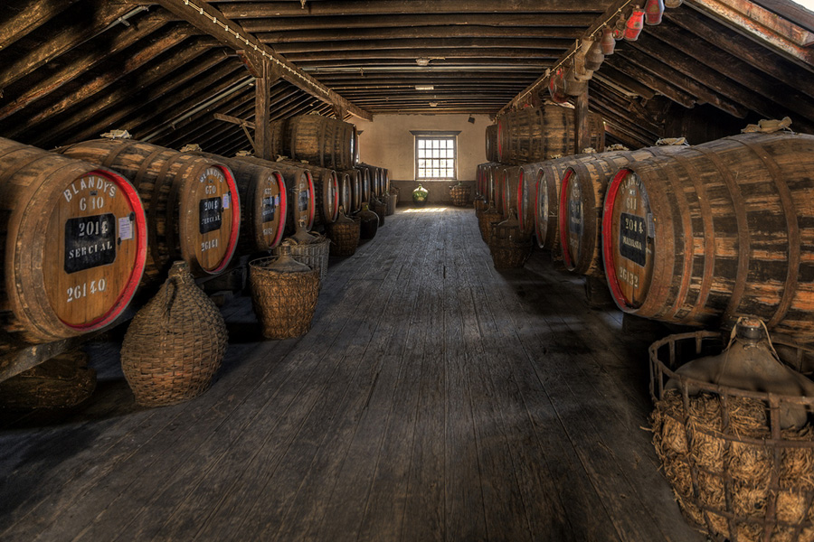 Wine Cellar ad Blandys Wine Lodges